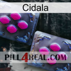 Cidala 01